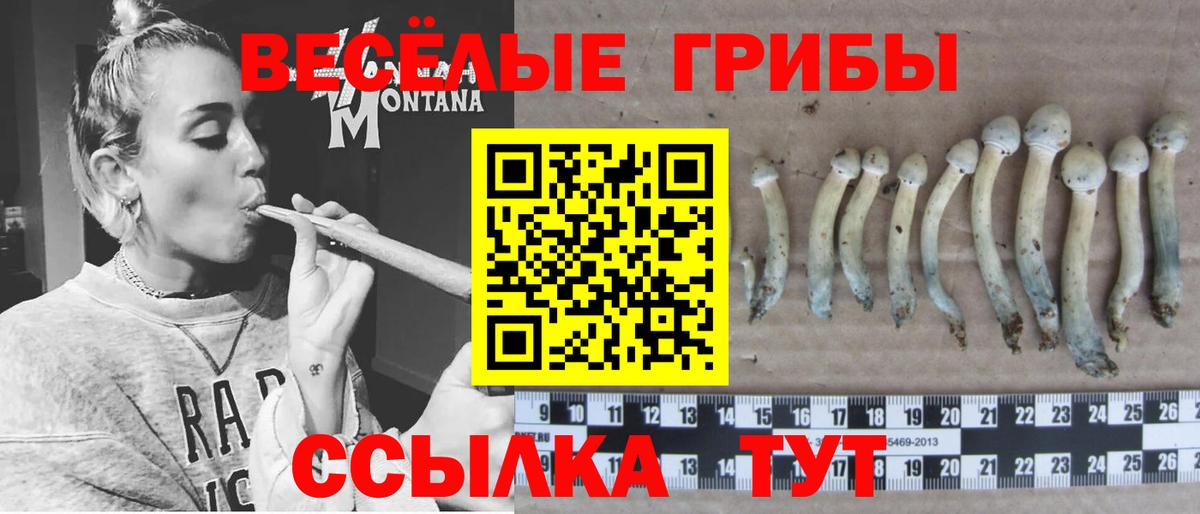 Псилоцибиновые грибы ЛСД Кызыл